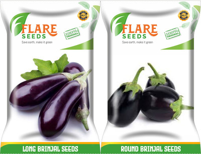 FLARE SEEDS LONG BRINJAL AND ROUND BRINJAL Seed(100 per packet)
