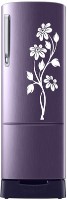 stylishdecor 60 cm s_refdecal6 Self Adhesive Sticker(Pack of 1)