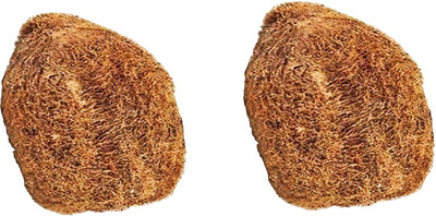 APG Ekakshi Nariyal / Laghu Nariyal / One Eyed Coconut / Mini Coconut / Ekakshi Narikelam