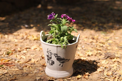 Lyallpur Stores Ceramic Plant Container Set White Color [Bucket Shape, Plants Not Included] Plant Container Set(Ceramic)