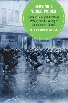 Serving a Wired World(English, Hardcover, Hindmarch-Watson Katie)