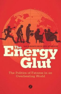 The Energy Glut(English, Paperback, Roberts Ian)