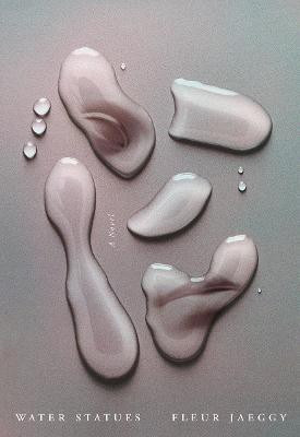 The Water Statues(English, Paperback, Jaeggy Fleur)