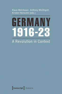 Germany 1916-23(English, Paperback, unknown)