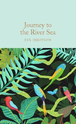 Journey to the River Sea(English, Hardcover, Ibbotson Eva)