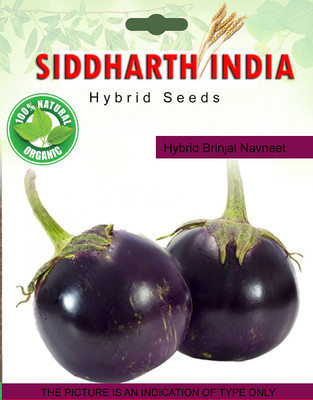 Foscos Hybrid Brinjal Seed(100 per packet)