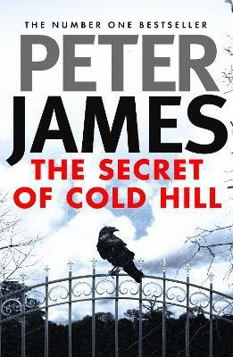 The Secret of Cold Hill(English, Electronic book text, James Peter)
