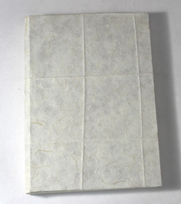Camlon Exports Recycled Handmade A5 Diary unruled 96 Pages(White)