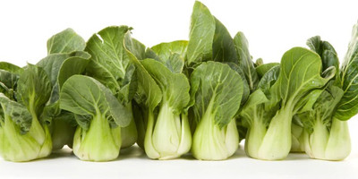 Paudha Pak Choi / Bok choy Seed(39 per packet)