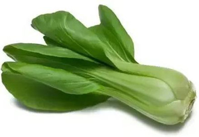 Paudha Pak Choi / Bok choy Seed(39 per packet)