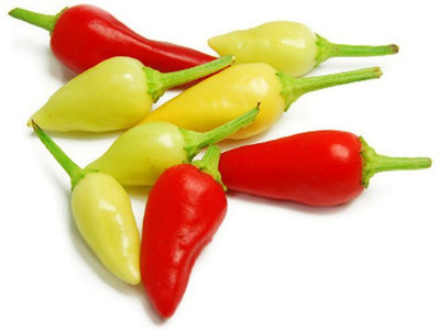 ROSEMERC HYBRID CHILLI Seed(150 per packet)