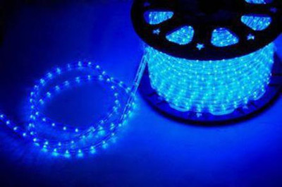 spark world 440 LEDs 5 m Blue, Yellow Steady Strip Rice Lights(Pack of 1)