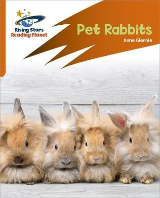 Reading Planet: Rocket Phonics - Target Practice - Pet Rabbits - Orange(English, Paperback, Glennie Anne)