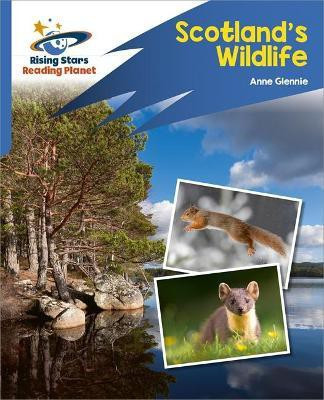 Reading Planet: Rocket Phonics - Target Practice - Scotland's Wildlife - Blue(English, Paperback, Glennie Anne)