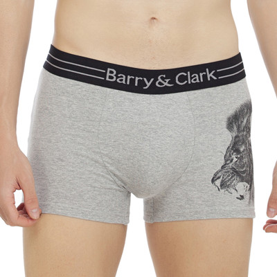 Barry and Clark Men Brief
