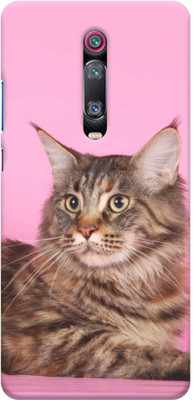 NDCOM Back Cover for Redmi K20 PRO Cute Cat Printed(Multicolor, Hard Case, Pack of: 1)