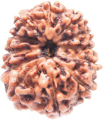 RATAN BAZAAR 12 Mukhi Rudraksha Beads Original Twelve Faces Rudraksha Astrological Purpose Beads Wood