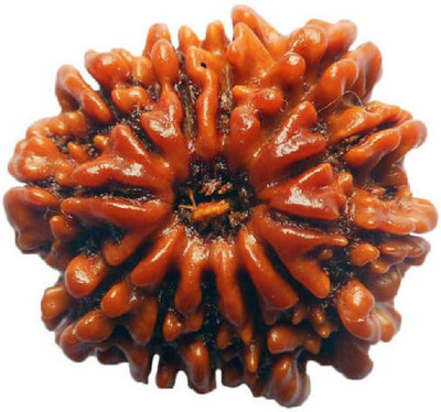 RATAN BAZAAR 13 Mukhi Rudraksha Beads Original Natural Thirteen Faces Rudraksha Astrological Purpose Beads Wood