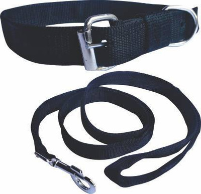 havish Dog Collar & Leash(Large, dark blue)
