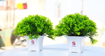 shanol :) Shanol :) Artificial coriander leafs, Artificial green grass plant with White Pot wheat grass Potted Plastic wild Green Grass Fake Topiaries Shrubs for Home, Garden and Office Decor Wild Artificial Plant with Pot Artificial Small Green Leaf Shrub Grass Leaves Plant (15 cm, green and lite G