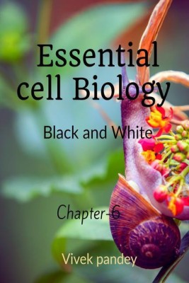 essential cell biology -6( black &white)(English, Paperback, Pandey Vivek)