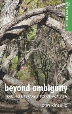 Beyond Ambiguity(English, Hardcover, Kinsella John)