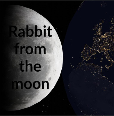 Rabbit from the moon(English, Paperback, Tejaswi. M)