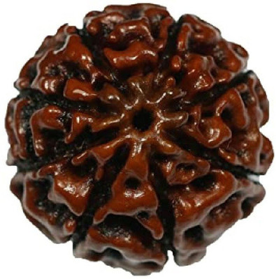 RATAN BAZAAR 8 Mukhi Rudraksha Beads Original eight Faces Rudraksha Astrological Purpose Beads Stone