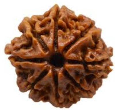 RATAN BAZAAR 8 Mukhi Rudraksha Beads Original eight Faces Rudraksha Astrological Purpose Beads Stone