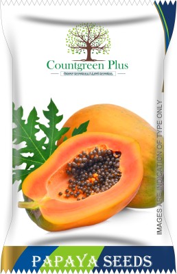 Countgreen Plus Dwarf Papaya (Papita) Fruit Seeds Seed(100 per packet)