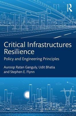 Critical Infrastructures Resilience(English, Electronic book text, Ganguly Auroop Ratan)