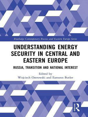Understanding Energy Security in Central and Eastern Europe(English, Electronic book text, unknown)