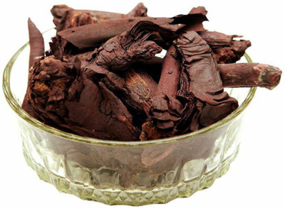 TAMRANSH Ratanjot root - ratanjyot jadd - jatropha curcas Seed(250 per packet)