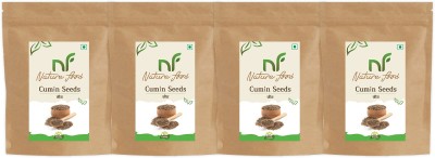Nature food Best Quality Cumin Seed / Jeera - 200gm (50gmx4)(4 x 0.05 kg)