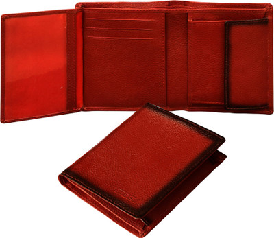 ABYS 15 Card Holder(Set of 1, Brown)