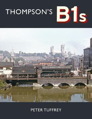 Thompson's B1s(English, Hardcover, Tuffrey Peter)