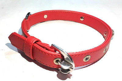 Smart Doggie Choke Free Adjustable dog collar belt for Medium Sized Dog Everyday Collar(Medium, Red)