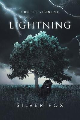 Lightning(English, Paperback, Fox Silver)