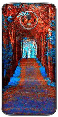 aadia MOTOROLA MOTO G5s Mobile Skin(Multicolor)