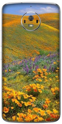 aadia MOTOROLA MOTO G5s Mobile Skin(Multicolor)