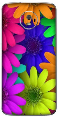 aadia MOTOROLA MOTO G5s Mobile Skin(Multicolor)