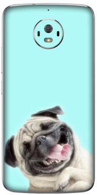 aadia MOTOROLA MOTO G5s Mobile Skin(Multicolor)