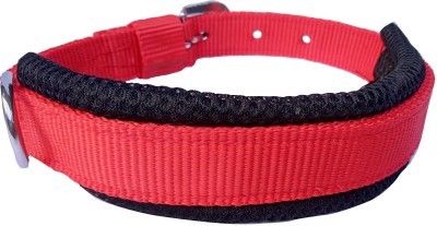 Ayra pet care Ary-Dc21BlkRdMs M Info Engraved Dog Collar Charm(Red, Black, Round)