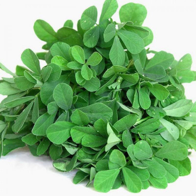 ALPINE HYBRID SEEDS methi Seed(50 per packet)