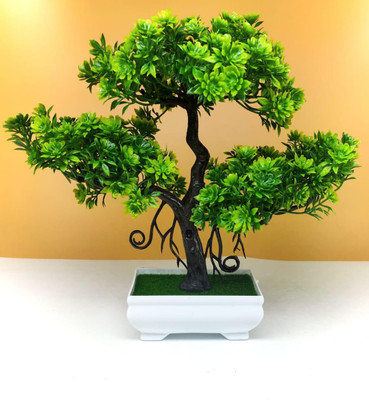 revcart Bonsai Wild Artificial Plant  with Pot(22 cm, Green)