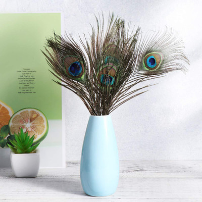 PRIME BHARAT Pack of 5 Decorative Feathers(30 cm Peacock Feather)