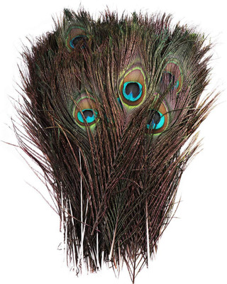 PRIME BHARAT Pack of 10 Decorative Feathers(30 Peacock Feather)