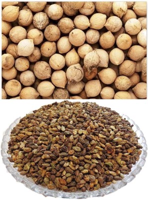 TAMRANSH Shivlingi , Putrajeevak Seed(100 per packet)