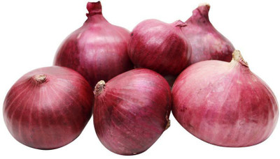 LYRS Fresh RedOnion Seeds- 400 Seed(400 per packet)