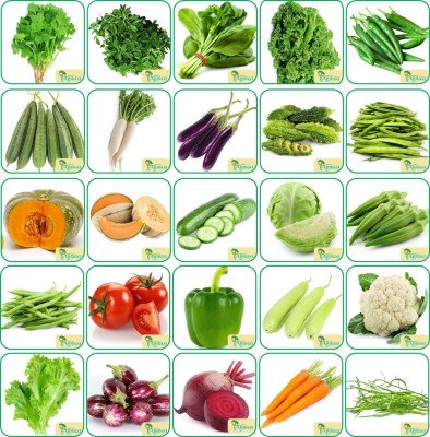 Agnico Agnico 25 Varieties of Vegetable 1700+ Seeds For Your Garden Beautiful Bloom High Germination Seeds with Instruction Manual Seed(1815 per packet)